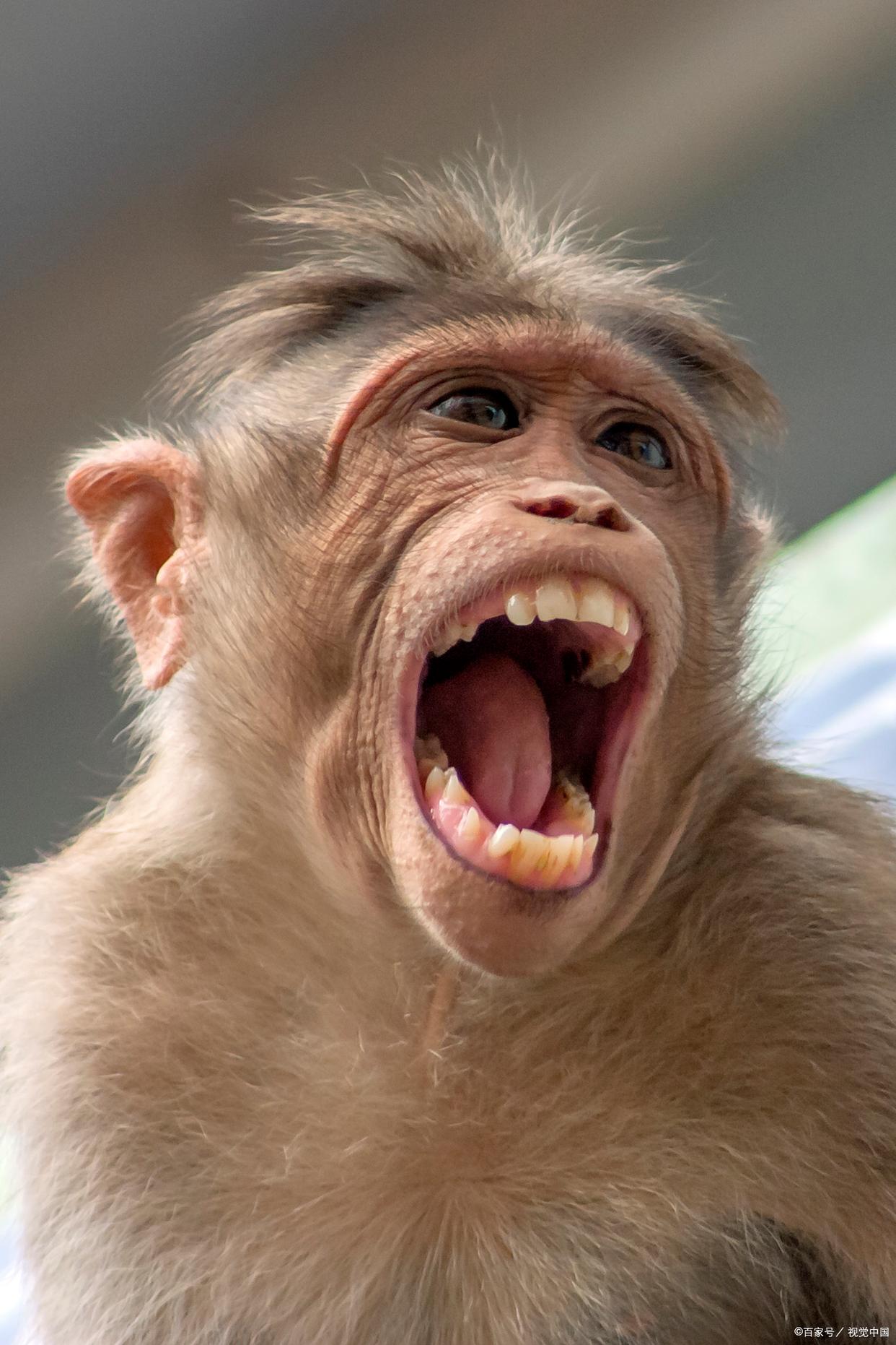 一中年男人去医院看病,开处方的是个年轻漂亮的女医生.问:姓啥?