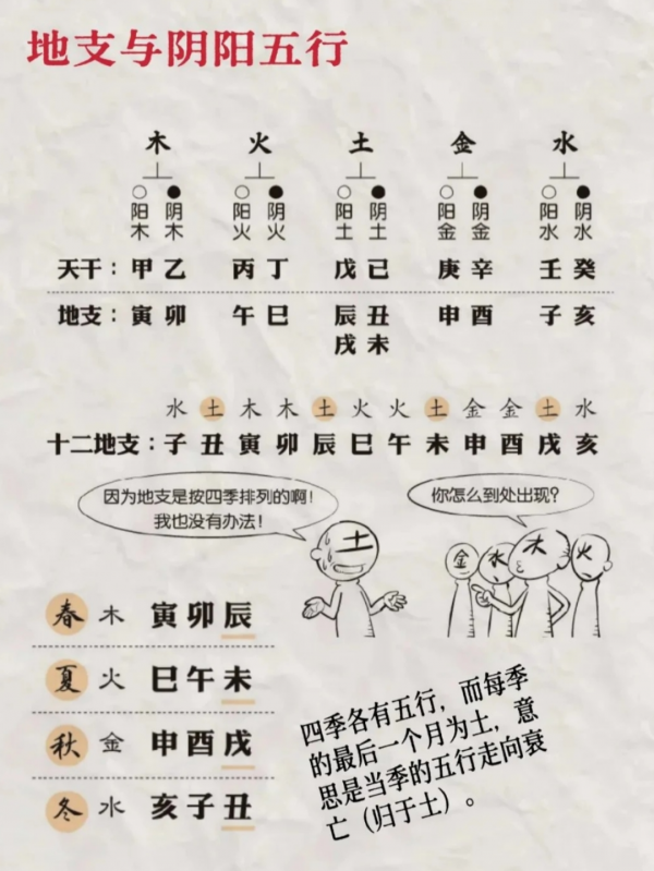 十二地支,阴阳五行,相互关系