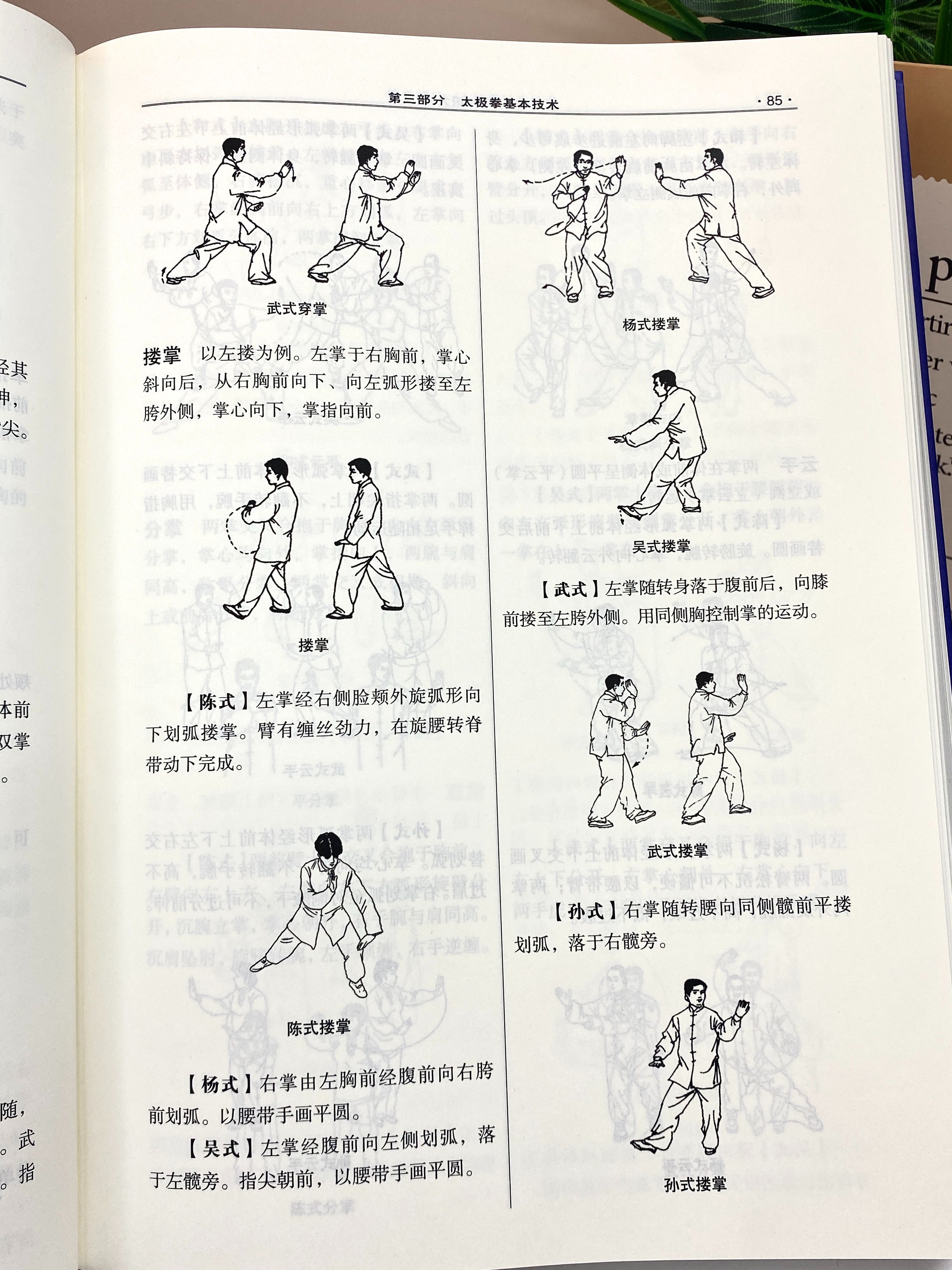 养生太极拳初学入门视频教学(养生太极拳初学入门视频教学全集)