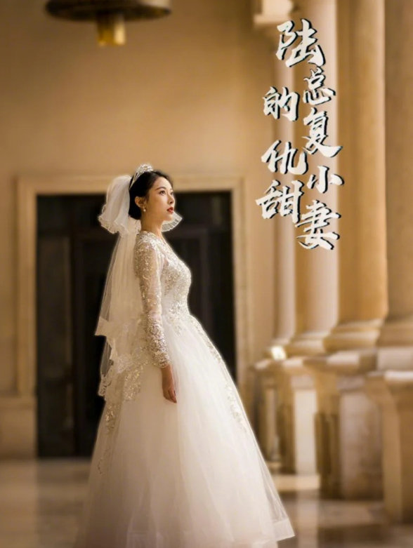 陆总的复仇小甜妻