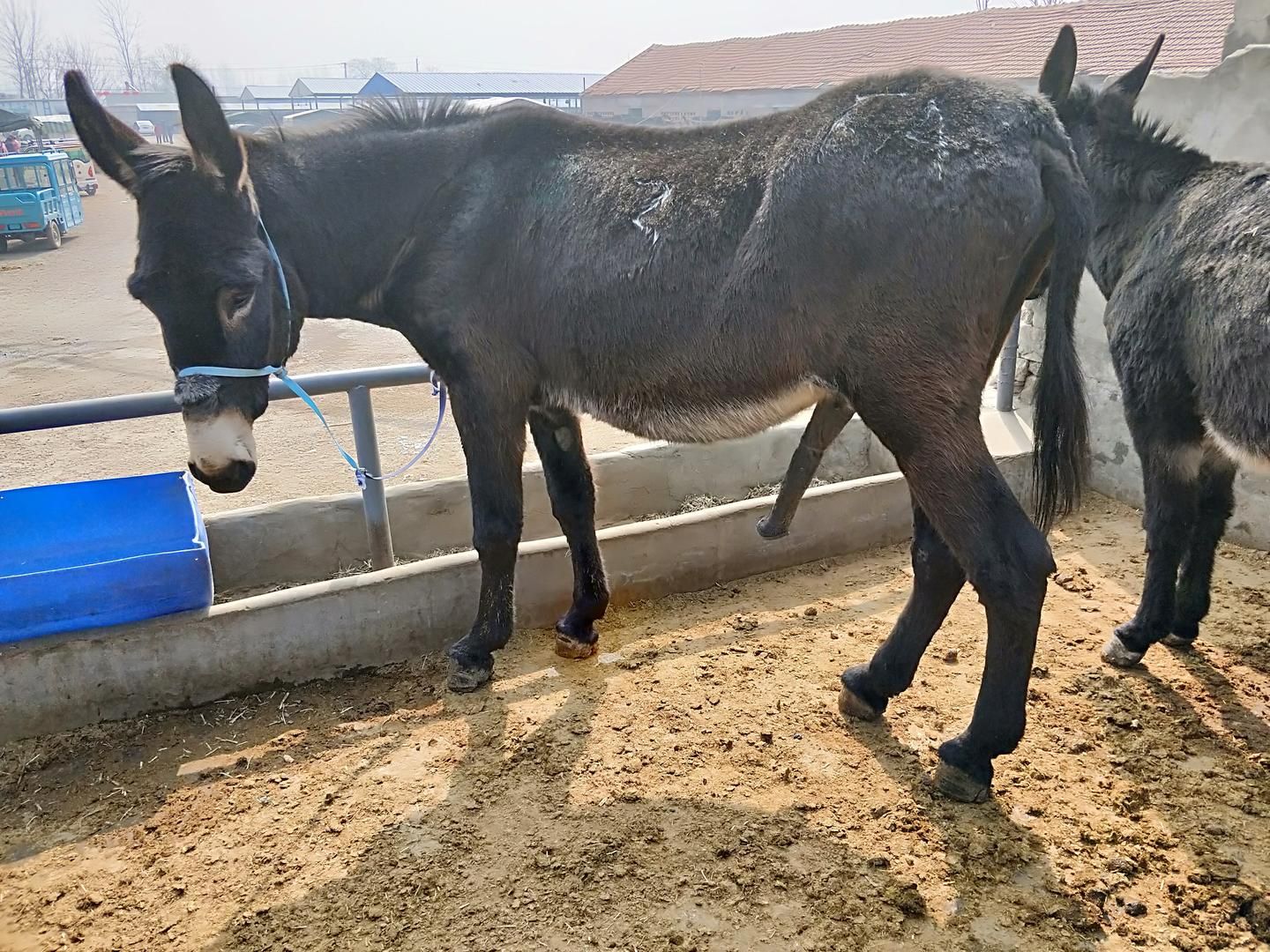 不迷信名家坚信自己看到的