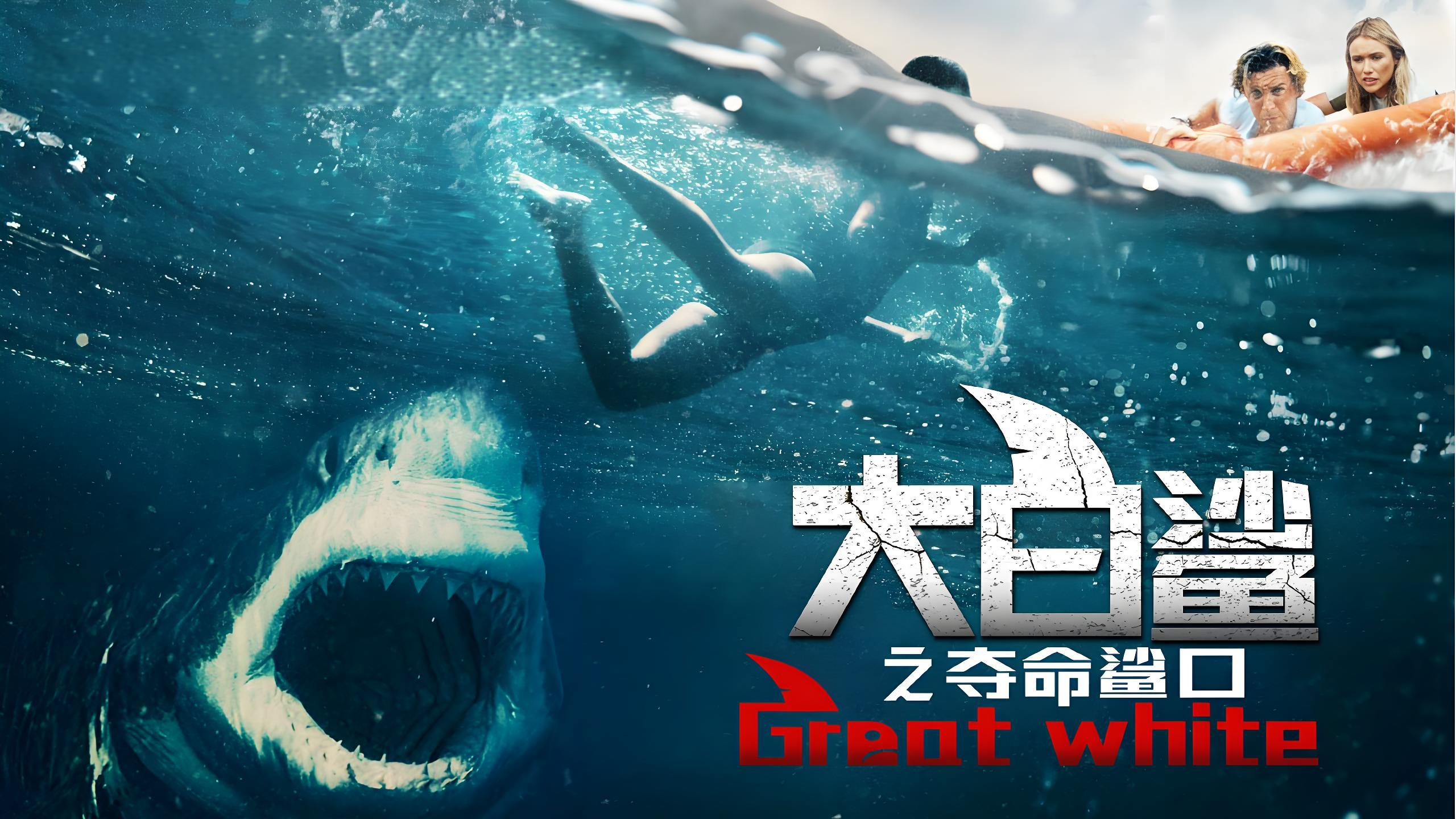 为啥鲨鱼影视磁力链=鲨鱼搜索引擎2024