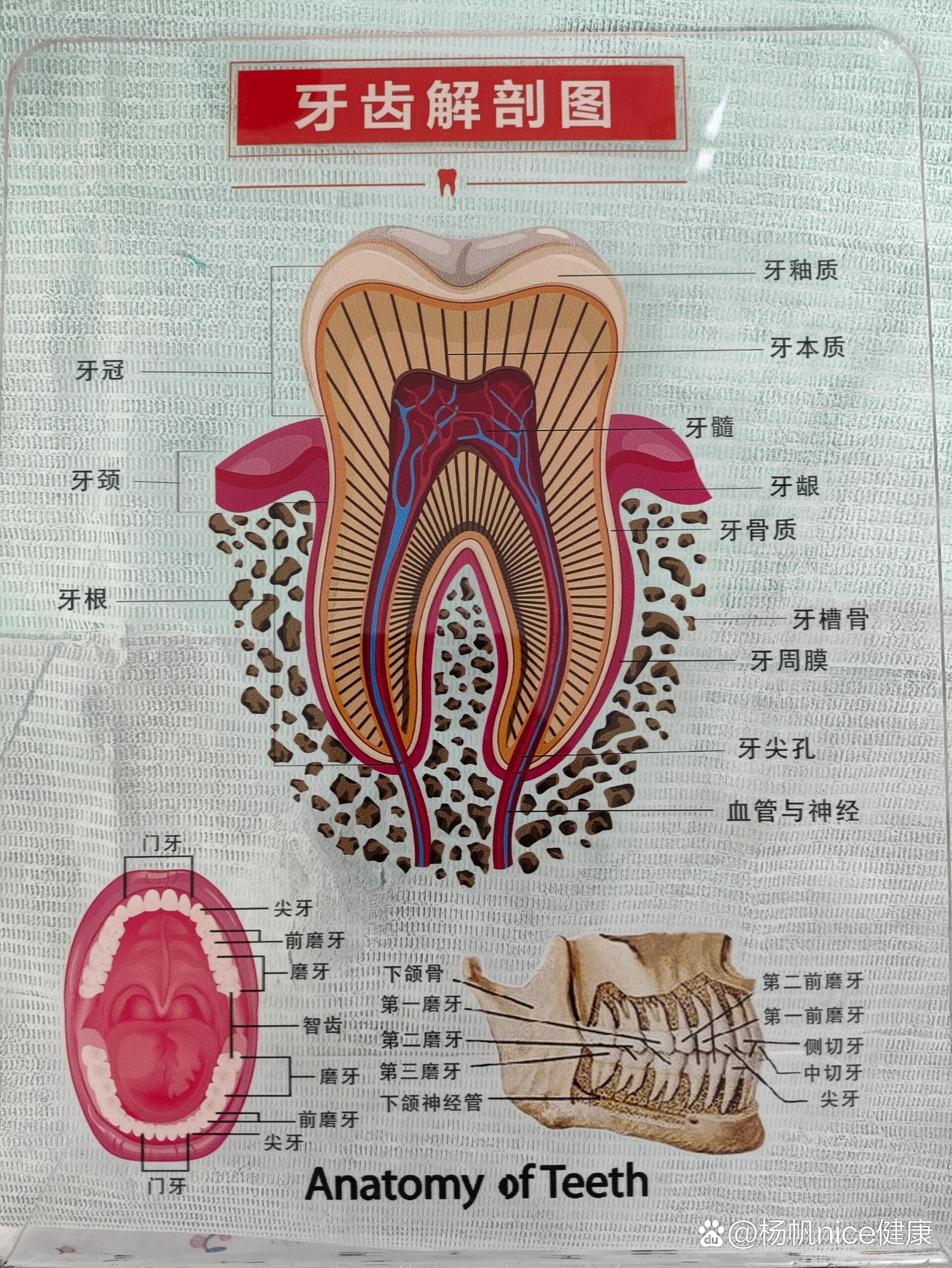 暂时缓解 ≠ 治愈:比如智齿发炎或轻微牙龈肿痛,可能