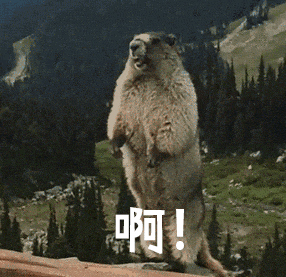 土拨鼠:哪吒可以和我贴贴,你们不行