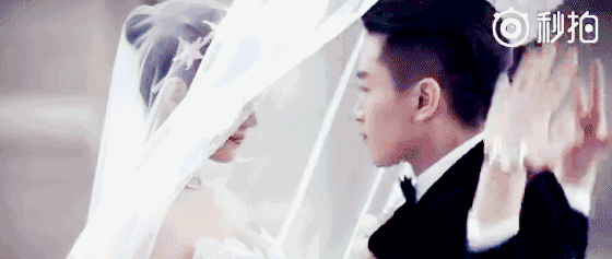 560_237gif 动态图 动图