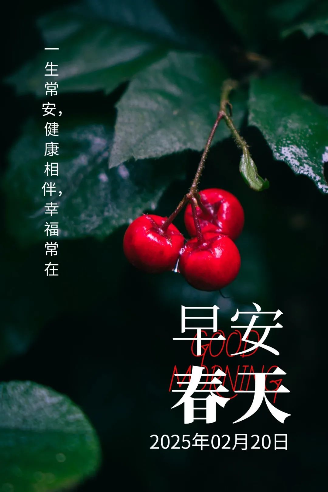 20 春季早安愿常安享幸福今天早上一睁眼就看到阳光透过窗帘的缝隙