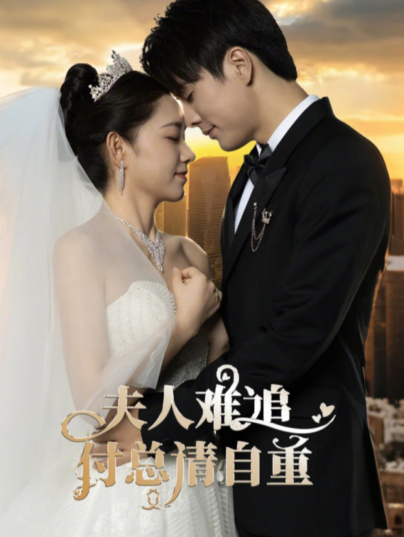 夫人难追，付总请自重