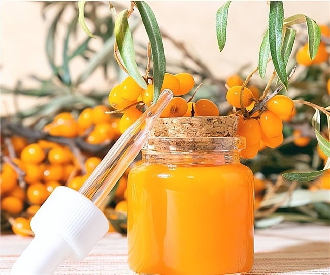 沙棘是什么东西，沙棘原浆哪个品牌最好最正宗，你了解吗？