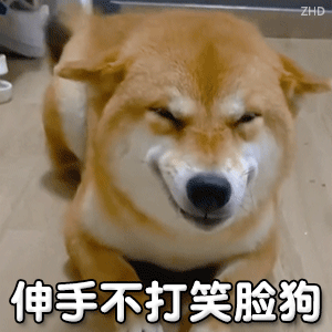 300_300gif 动态图 动图