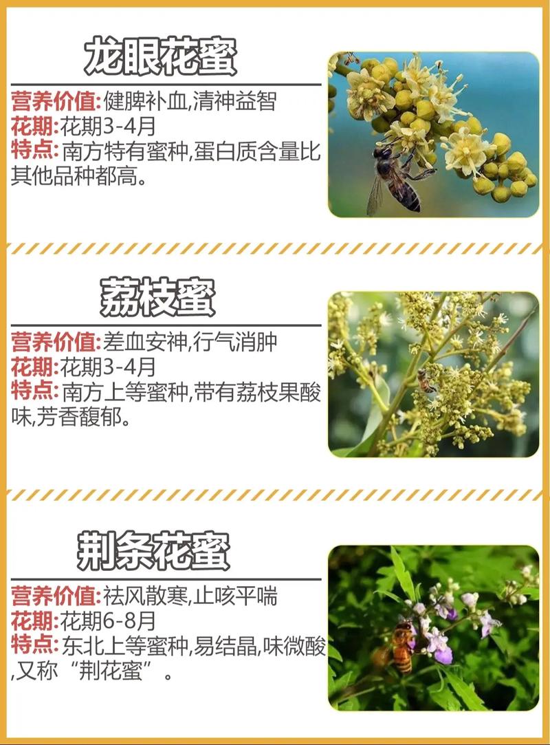 蜂蜜还有保质期吗(蜂蜜有保质期吗放久了还能吃吗)