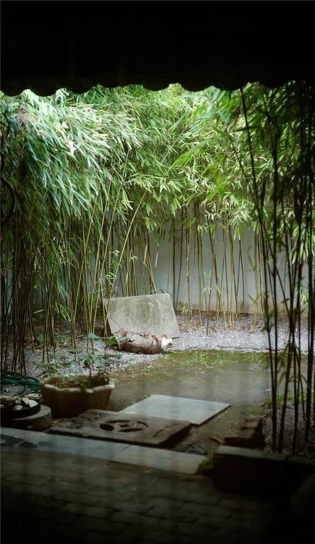 院子:种竹子的话,风水会好吗?