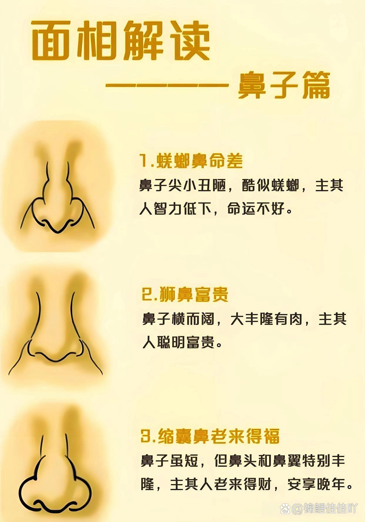 面相解读:鼻相各异,蝶螂鼻命差,狮鼻富贵,缩囊鼻老来福