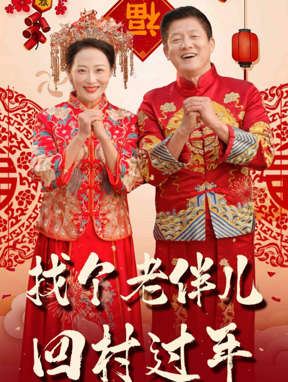 找个老伴儿回村过年封面图