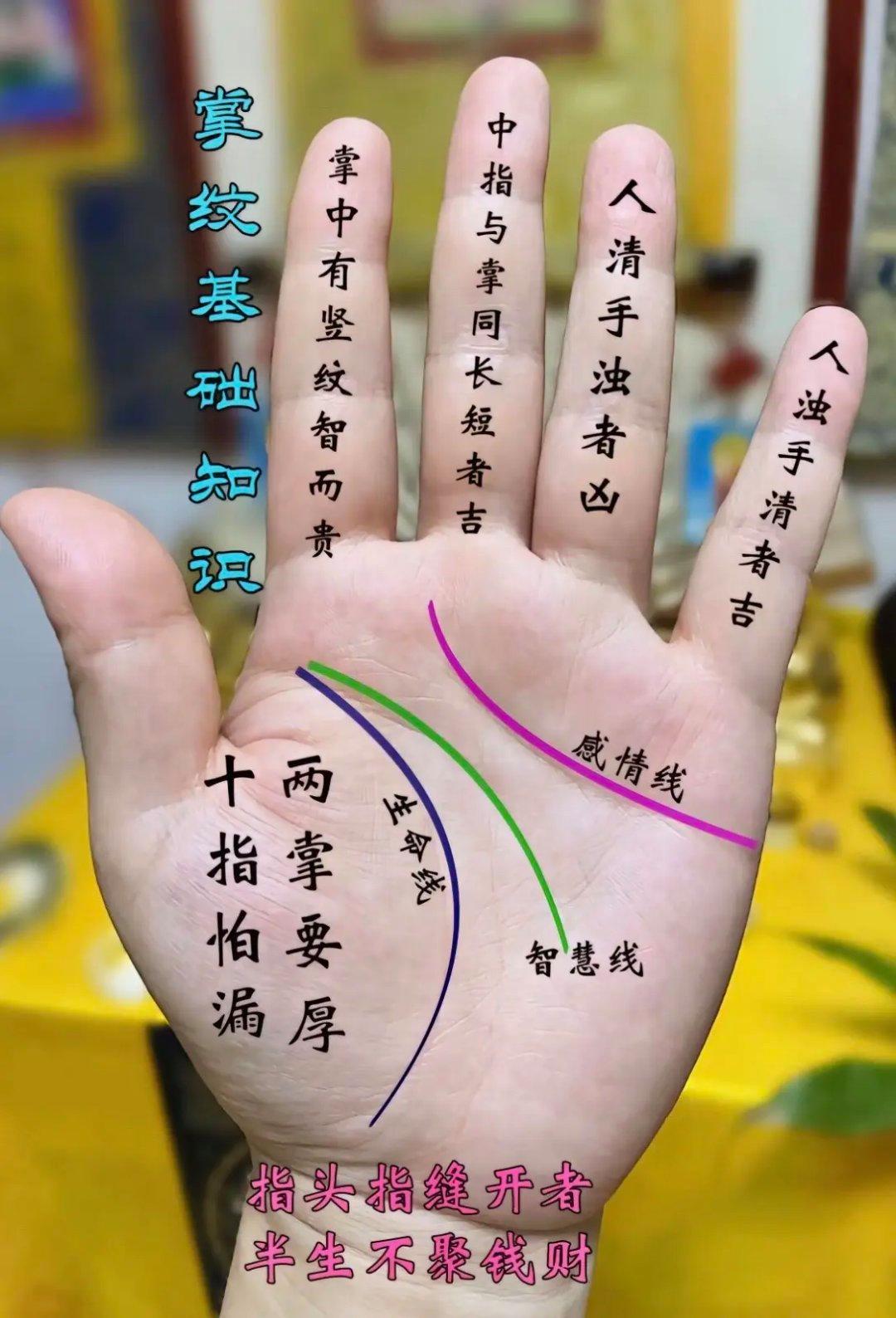 人的命运都藏在手心里,想知道你的命运吗?#手相# #热点引擎计划