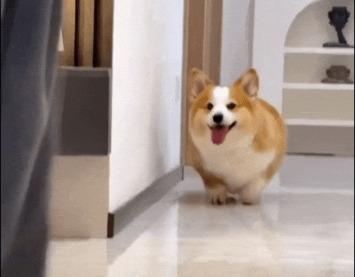 512_400gif 动态图 动图