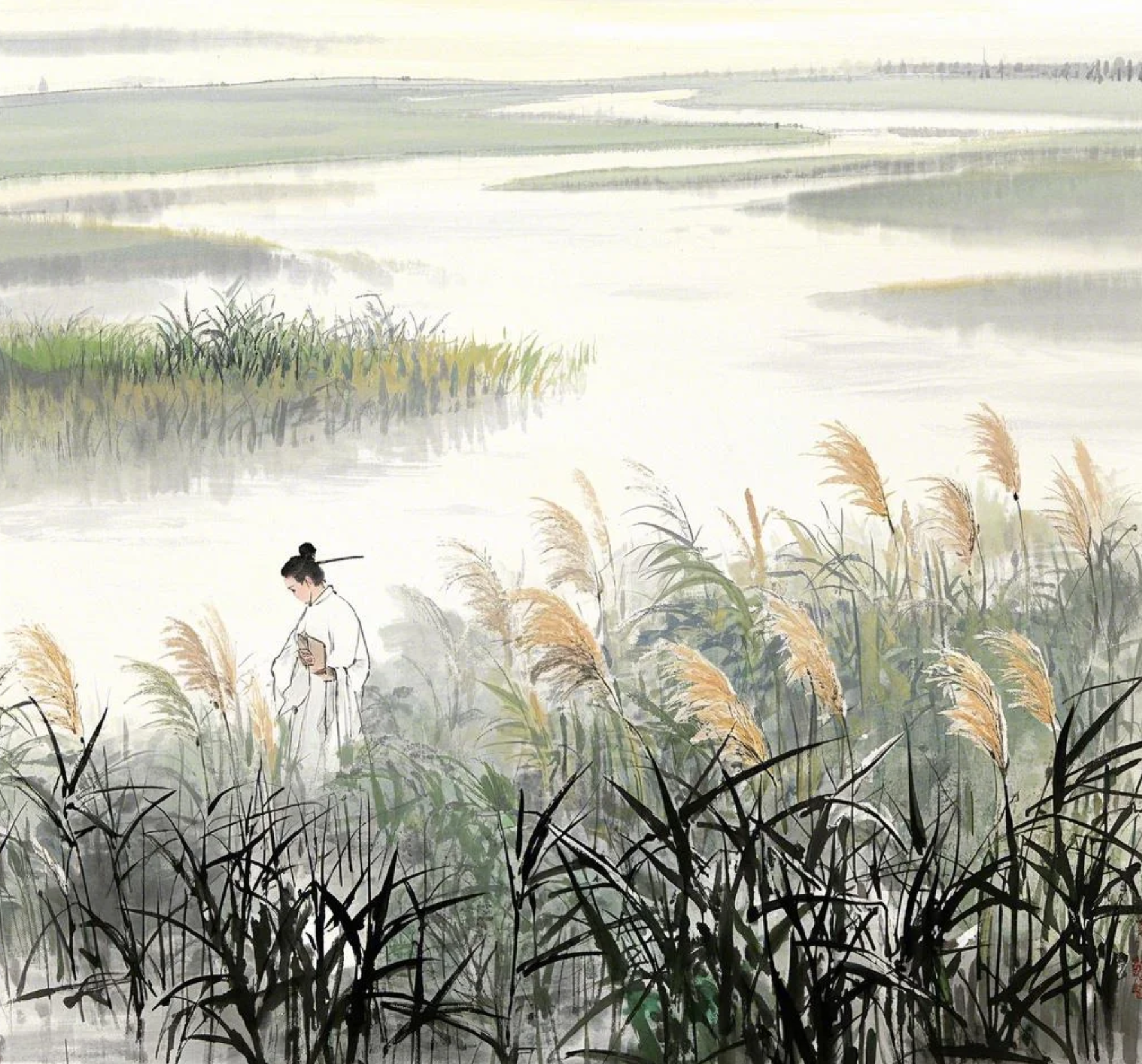 三千年芦苇荡里,藏着中国人最深沉的相思之意