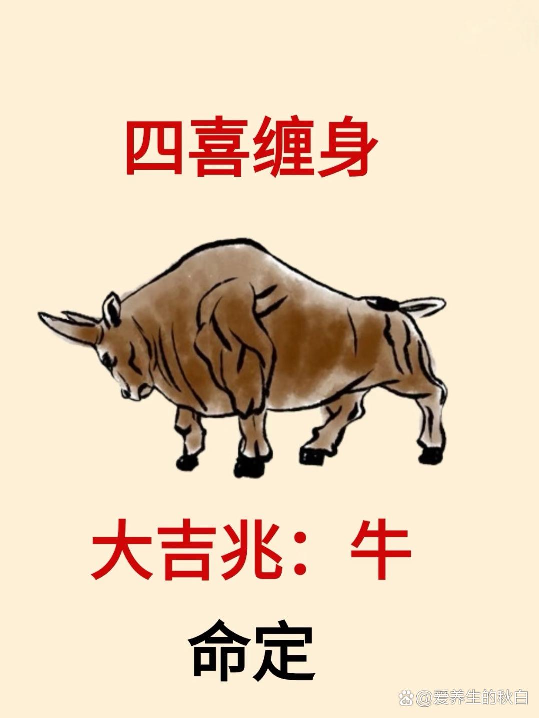 李半仙生肖牛下周运势(85牛2026年每月运势)