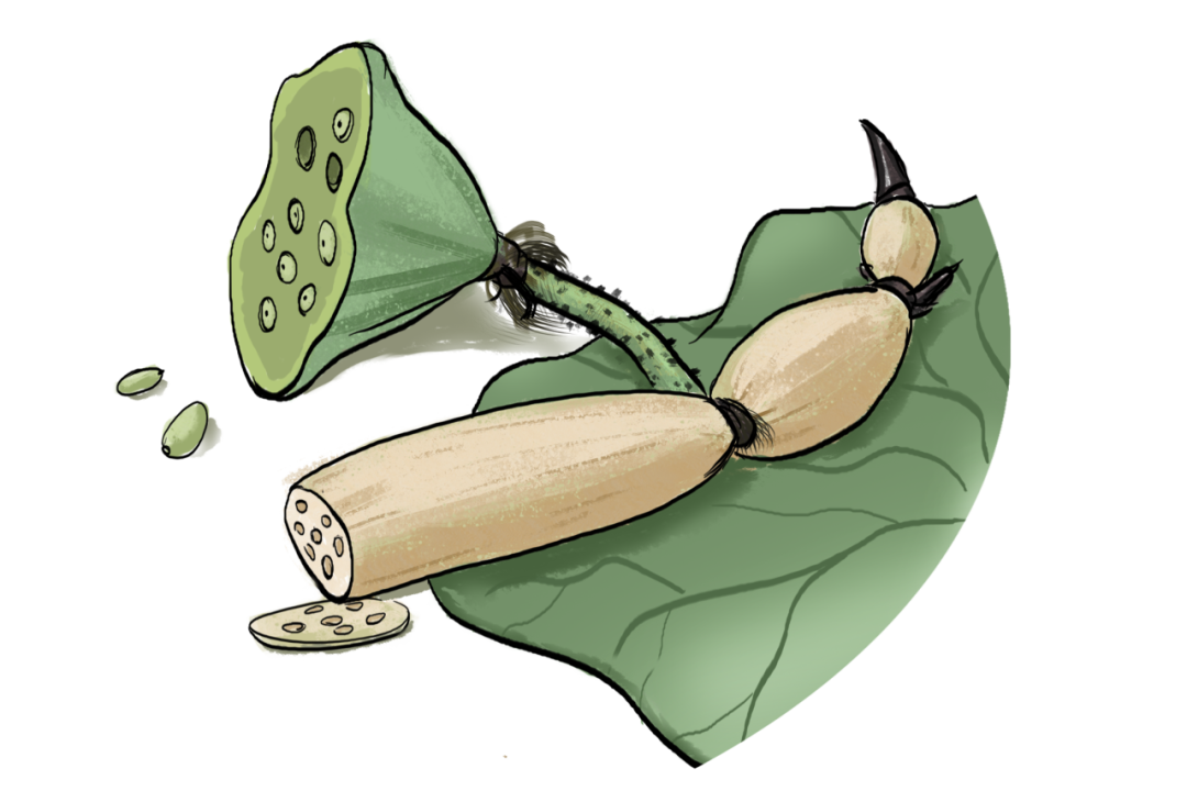 农产品食品检验员证书培训公告