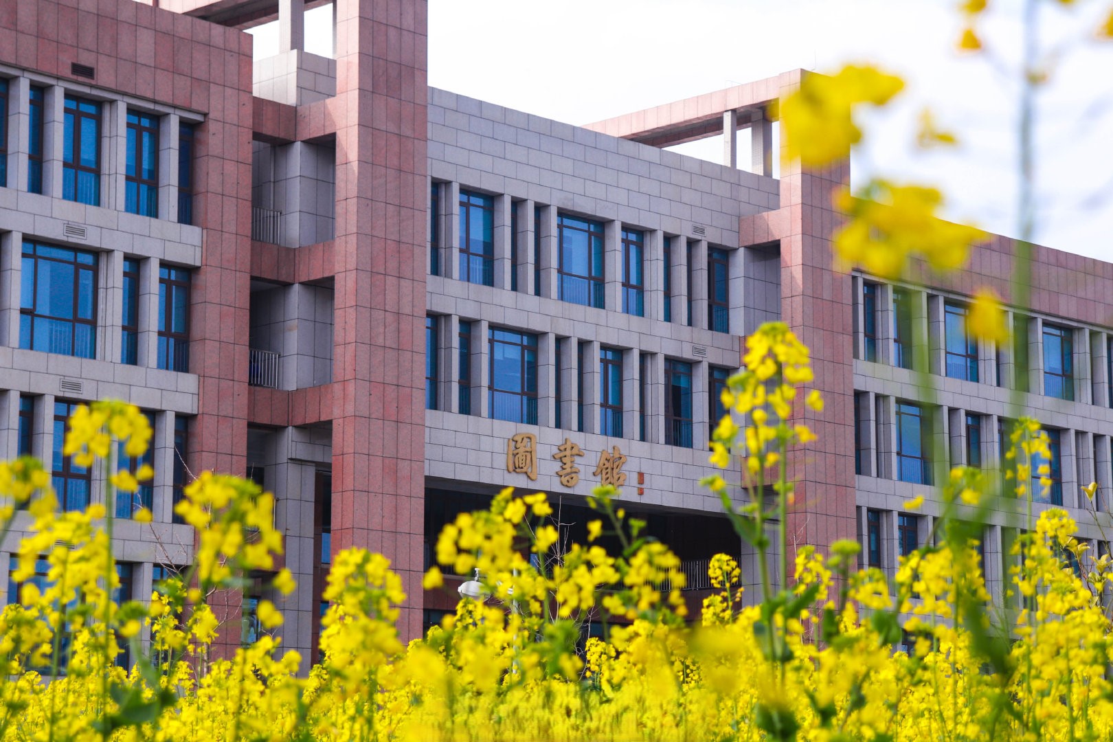 西财国际本科助你弯道超车 八省联考志愿填报结束,影响高三学生升学