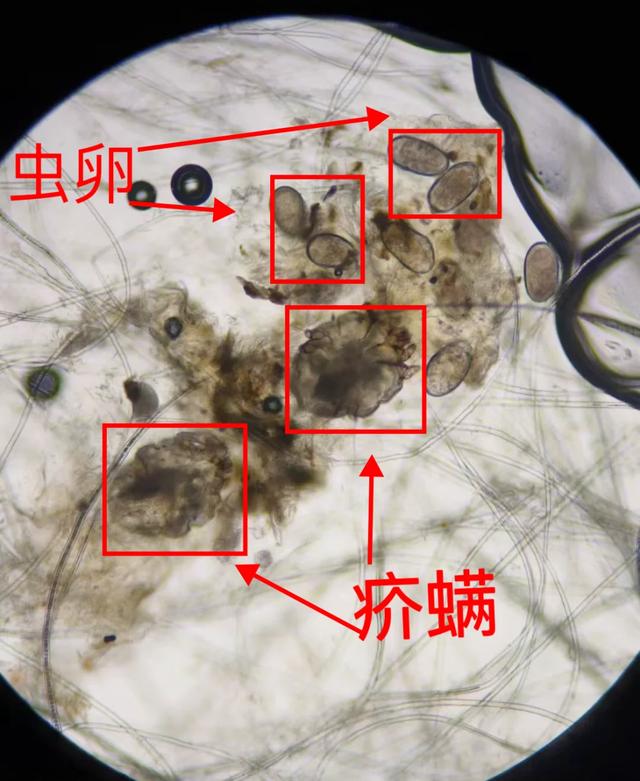 8件"良心已坏"的电器,网上销售"全是坑",大家不要被骗了