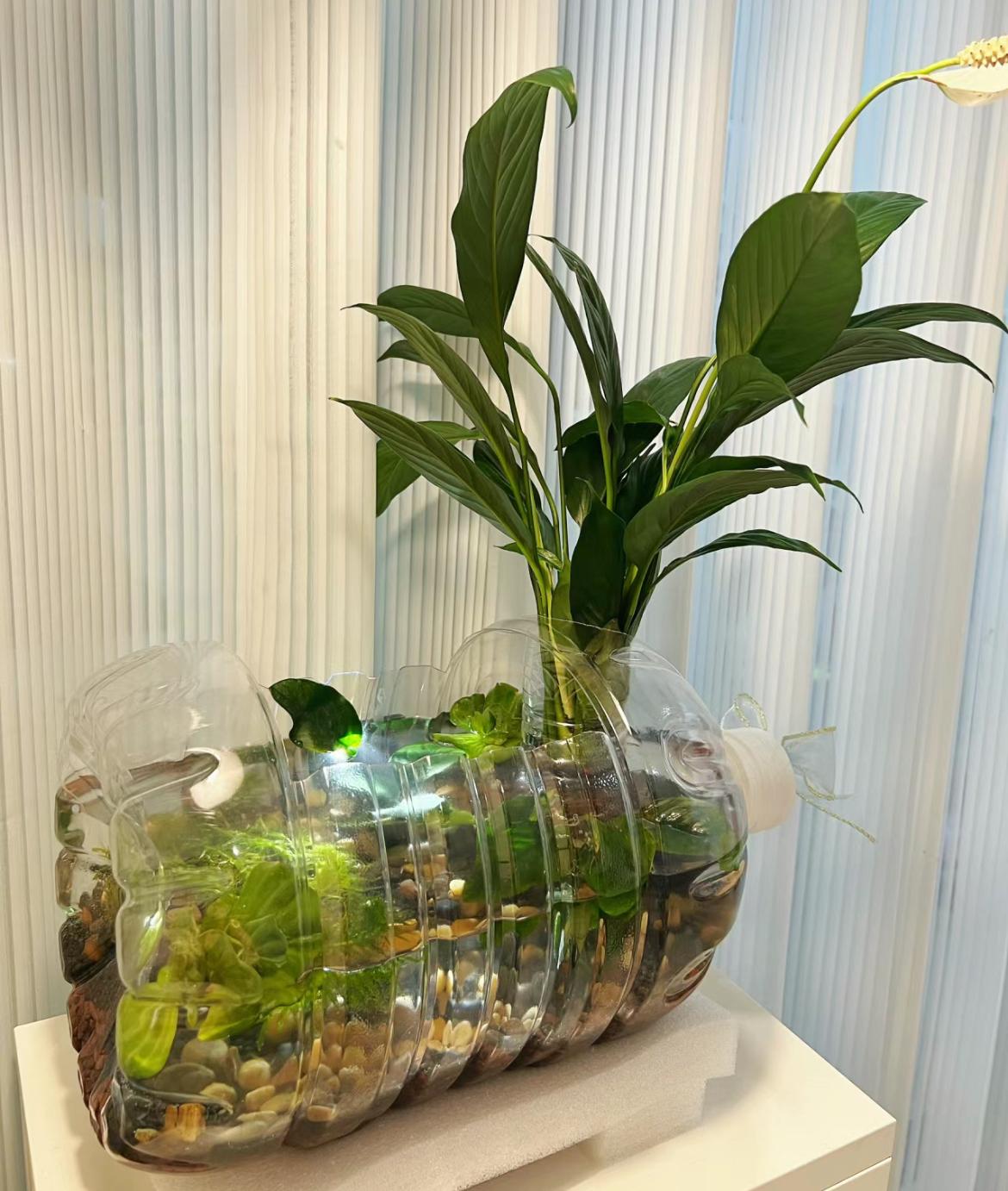妈妈才是生活家,舍不得扔的塑料瓶,全都派上用场了,省钱又实用