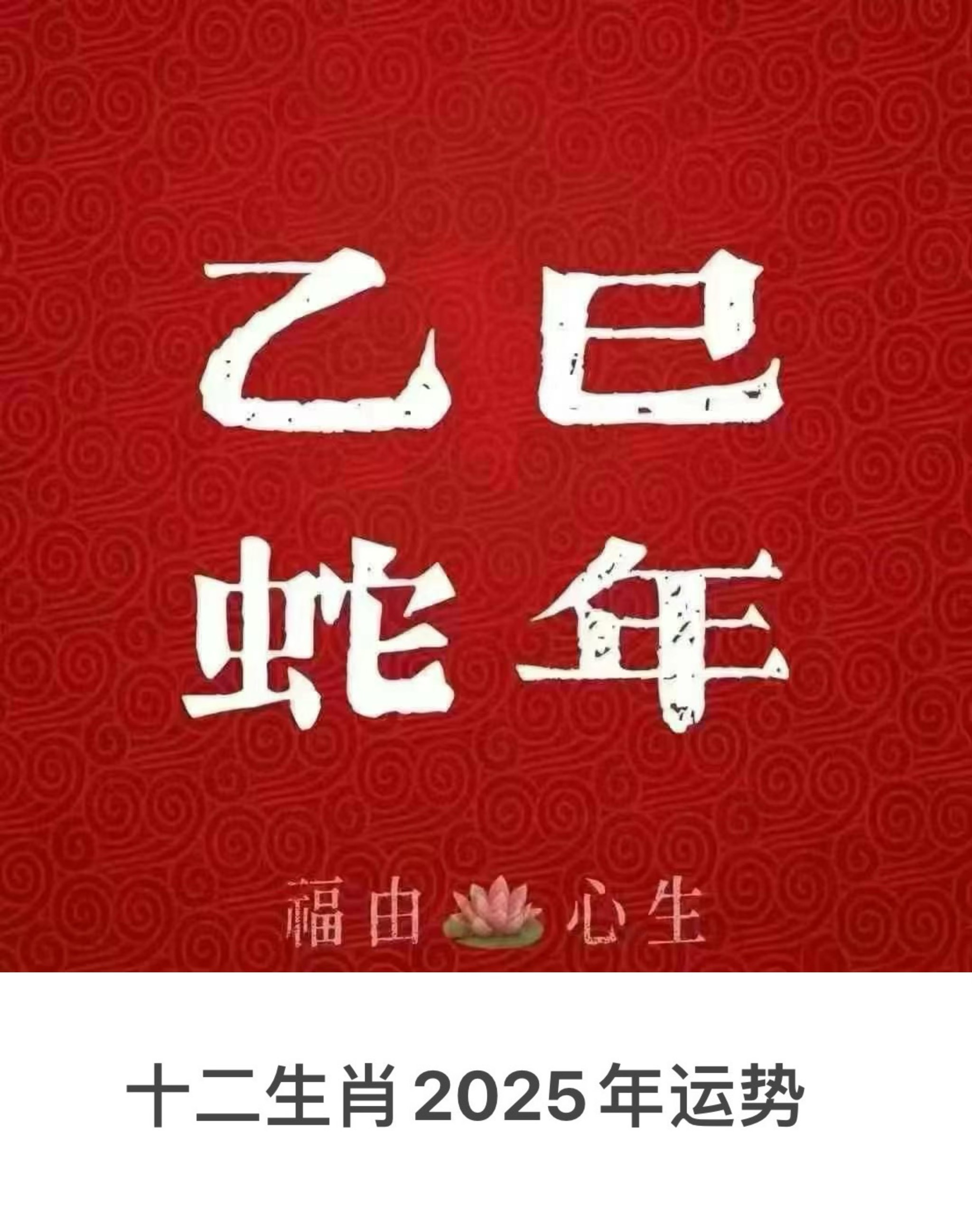 生肖蛇的明年运势(属蛇的明年运势)