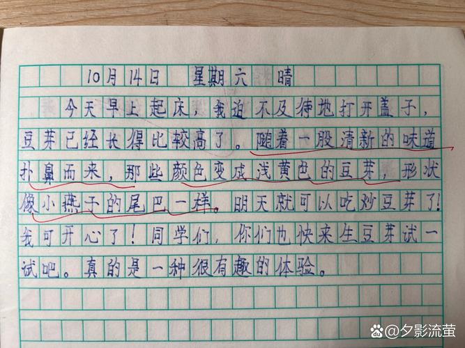 观察事物作文300字三年级