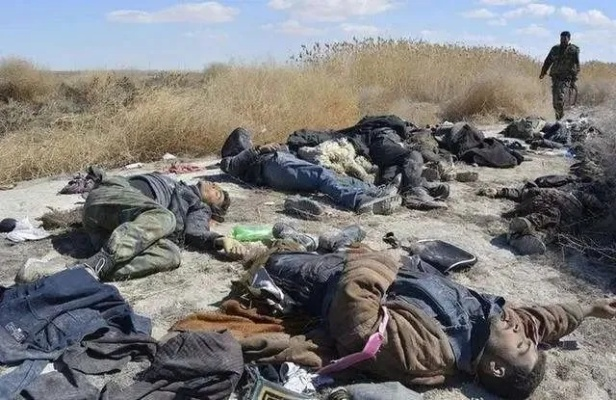 叙利亚尸横遍野,惨不忍睹!中国如何发声?