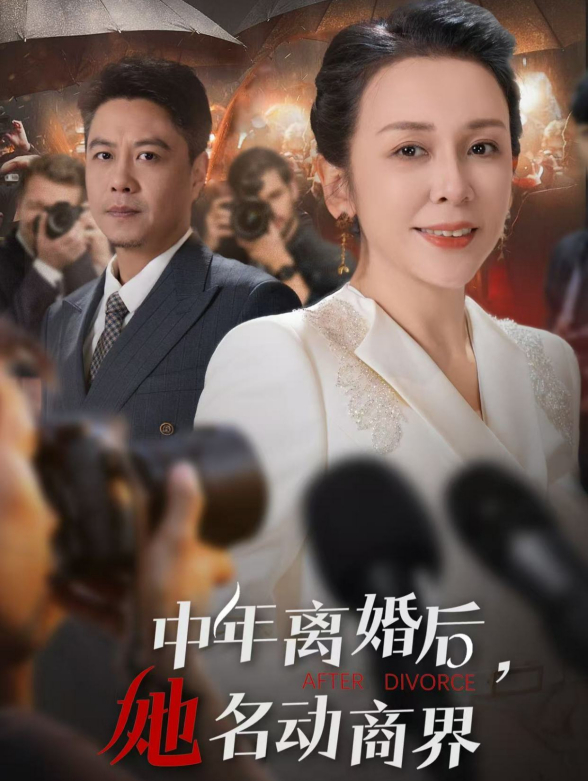 中年离婚后她名动商界