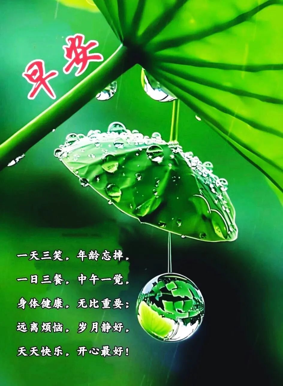 56张最新漂亮早安图片,每天问候心连心,祝福朋友永开心!