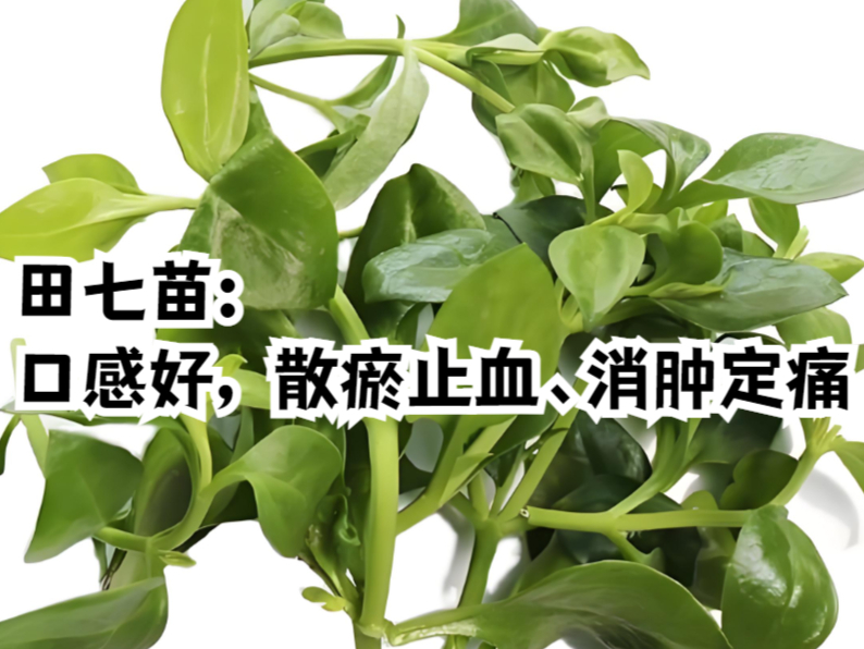 春日养生季# 春季想尝鲜?田七苗煎蛋超美味!