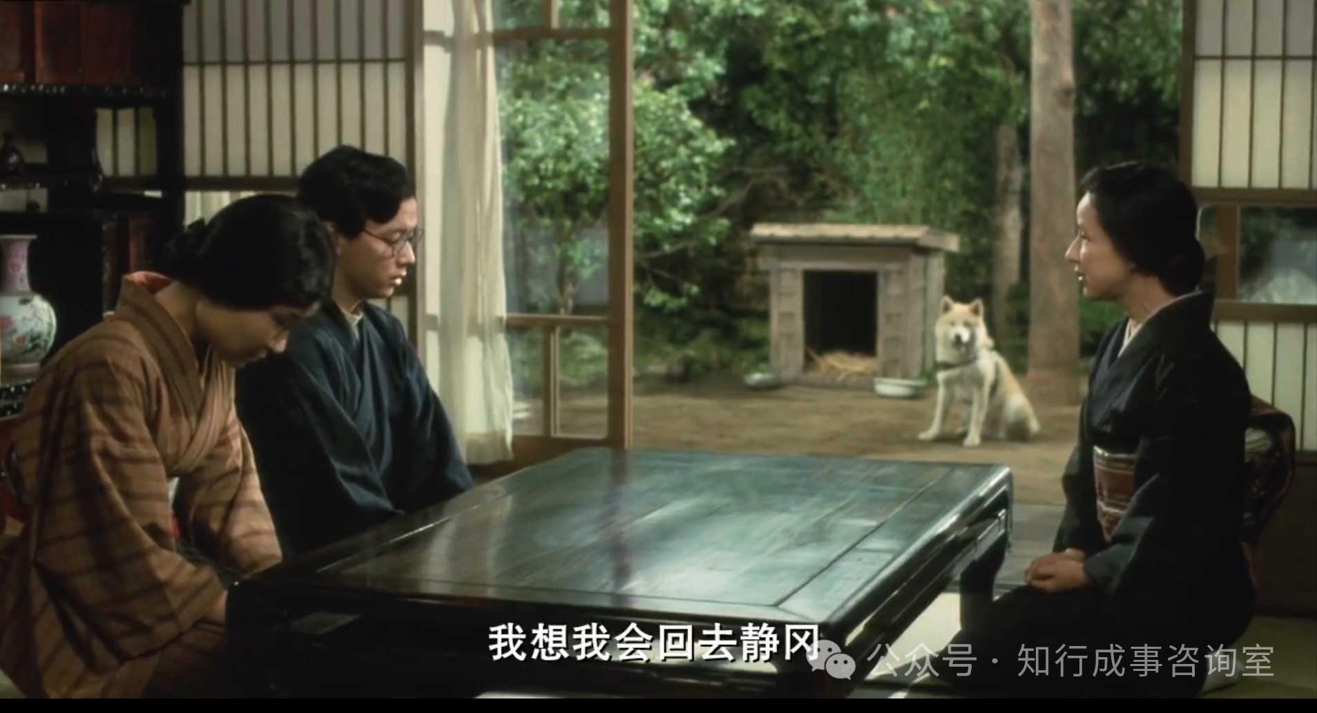 《忠犬八公物语》:一场跨越物种的忠诚寓言