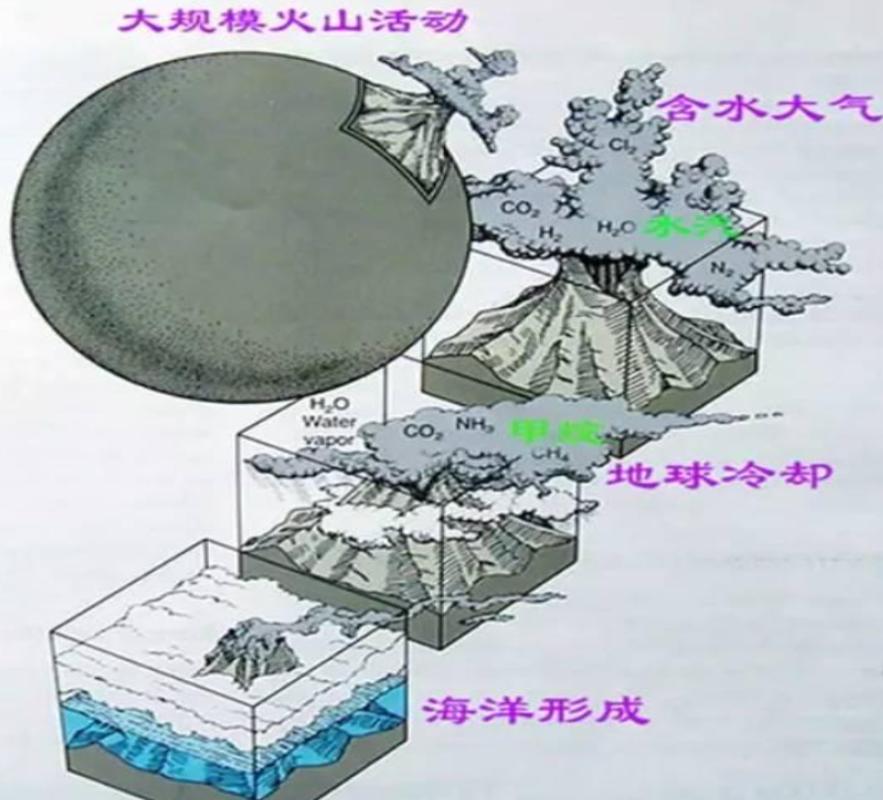 回顾科学家:人是从鱼进化来的,化石为证,揭秘鱼到人类的进化过程