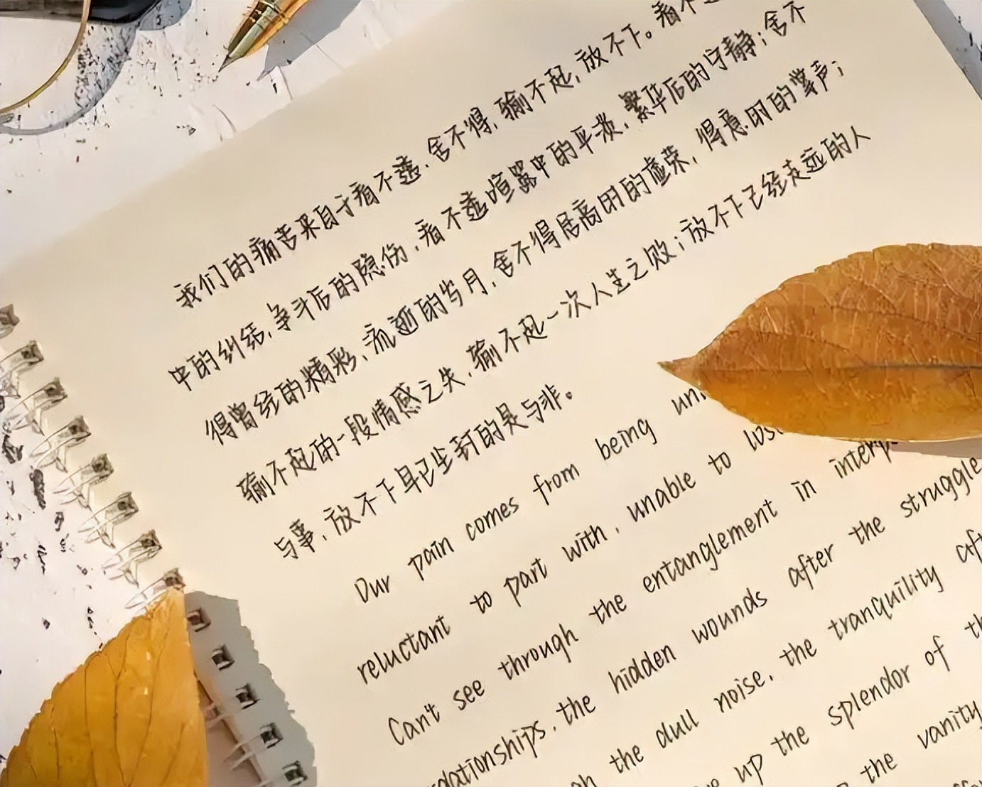 现在流行的"奶酪体",已被学生抛弃,看到电脑阅卷后瞬间明白了