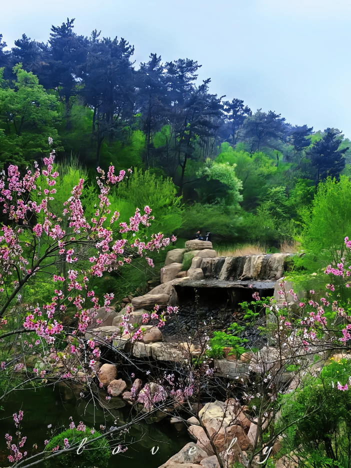 【沐春寻芳 悠游辽宁 | 春天,就要『上春山』】鞍山·千山