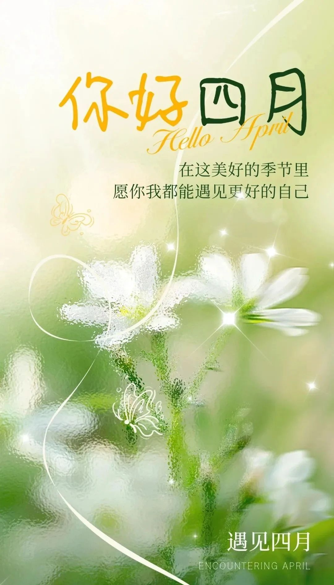 站在时光的渡口我们轻折往事的信笺将期待折成纸船投向远方
