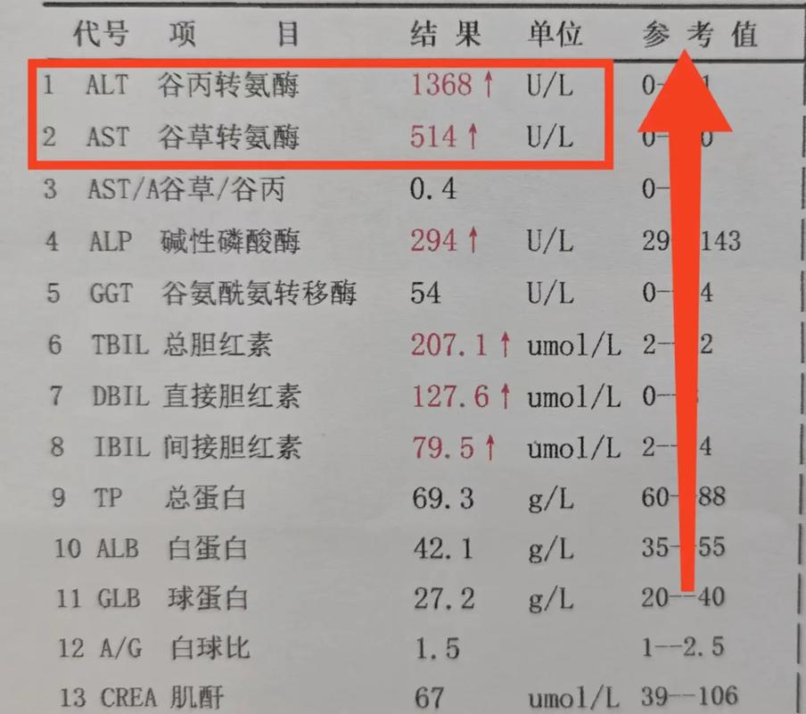 我们经常说,肝功能有没有损伤,首先要看转氨酶是否升高,转氨酶是肝