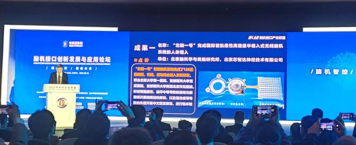 2025脑机接口十大创新成果发布！我国迎来脑机接口标准化路线图