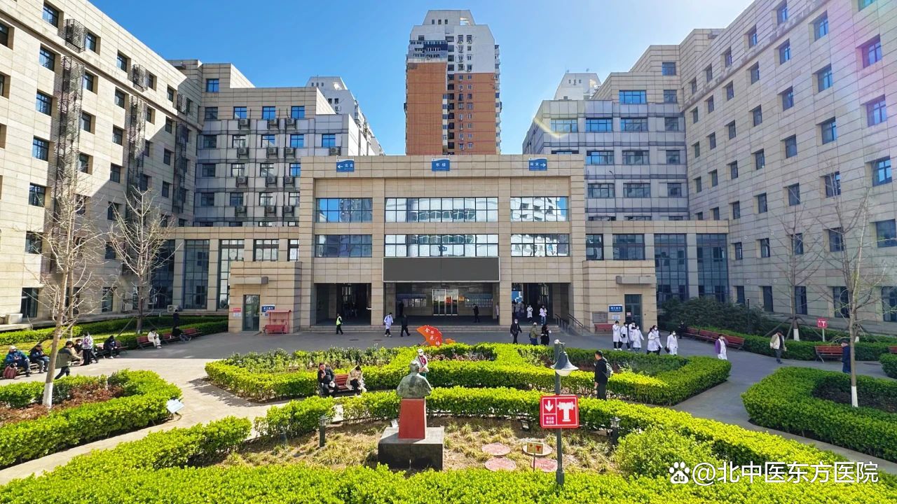 包含东方医院地理位置(今天/挂号资讯)的词条