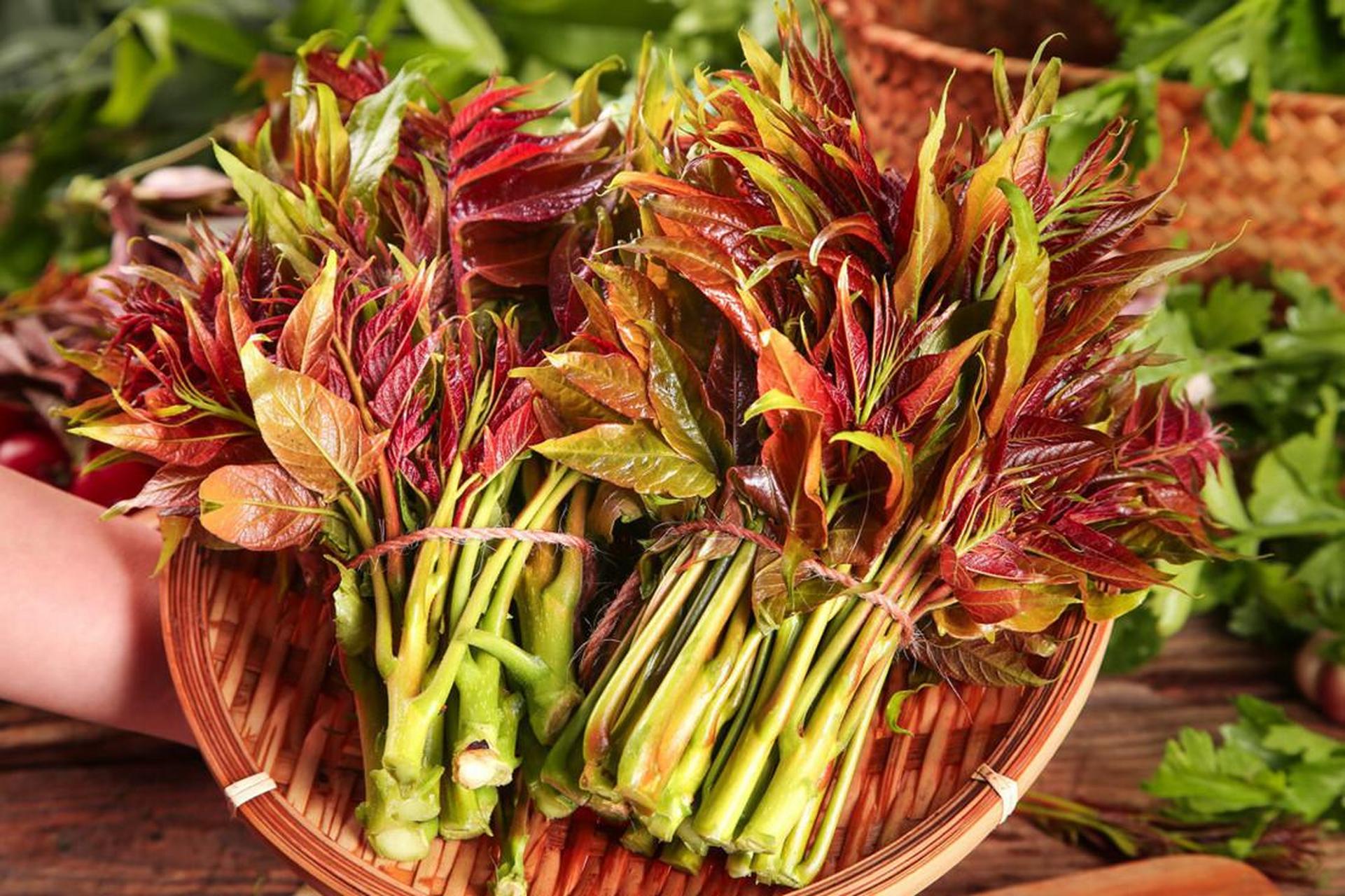 "清明吃5鲜,胜过活神仙!"这"5鲜"指的是什么?