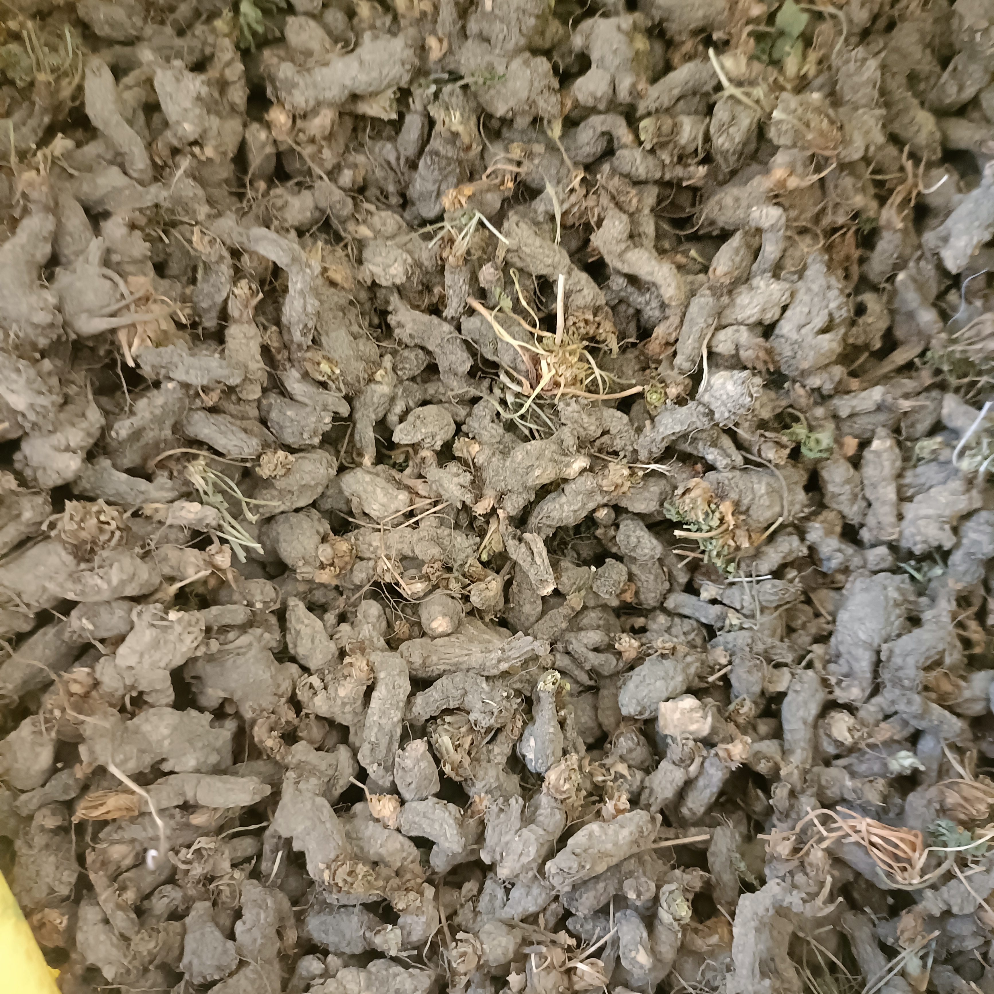 未来5年稀缺中药材(国家63种紧缺中药材)