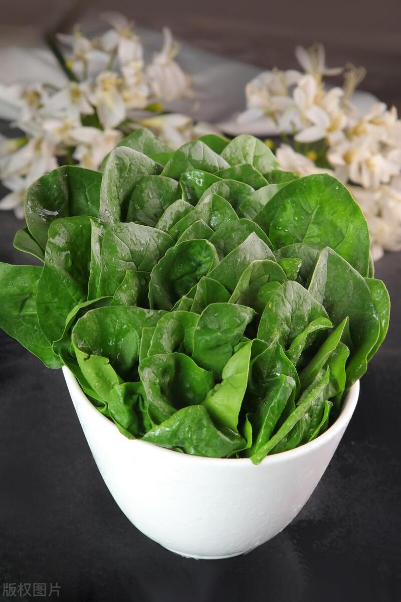 菠菜再次成为关注对象!医生发现:吃菠菜时,千万多留意这3点