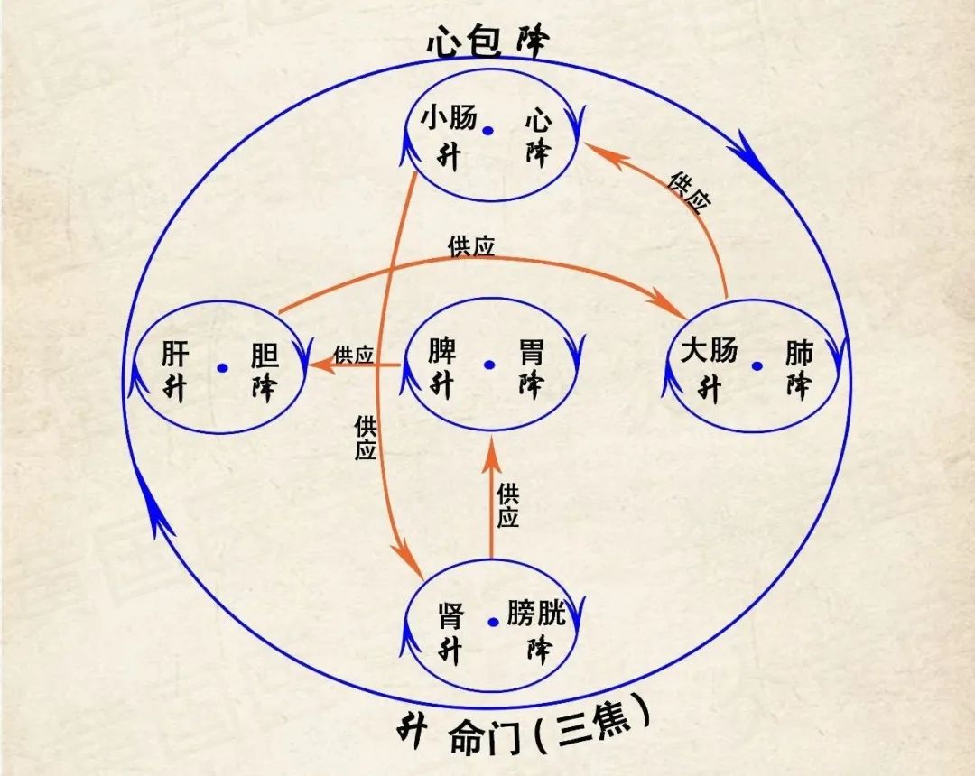 有次实在好奇问:"师父,这蹲着能治心病?