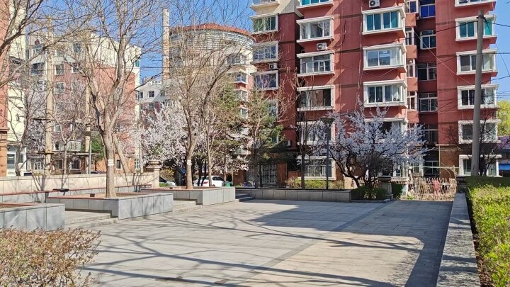 把春天装进"口袋"!