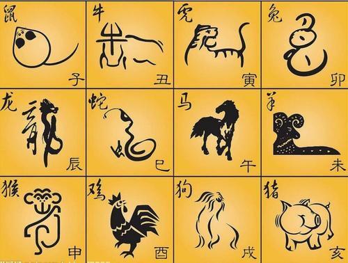 生肖的运势分析图片(生肖运势百科)