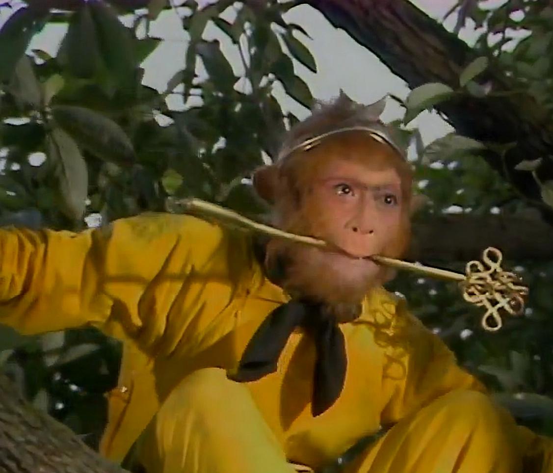 孙悟空毁人参树,镇元子却结拜美猴王,这一局中局终于水落石出了