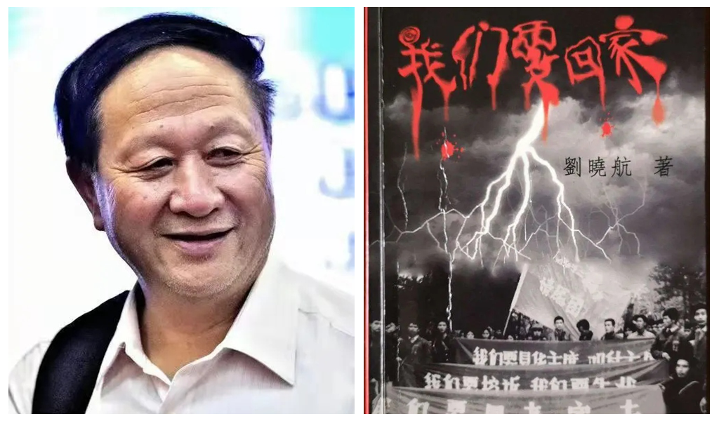 鼎鼎有名的知青人物:丁惠民