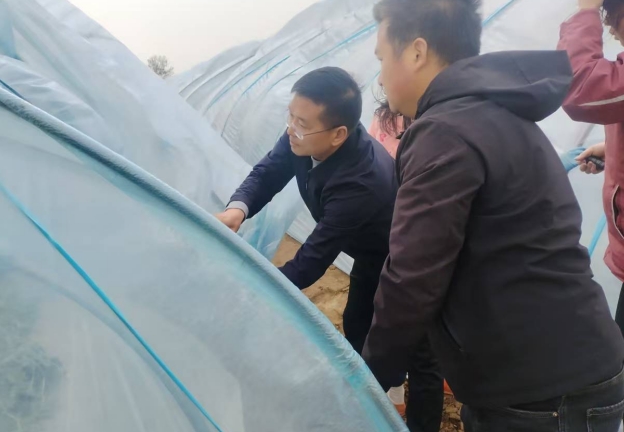 沈丘县天气在线 沈丘县天气在线