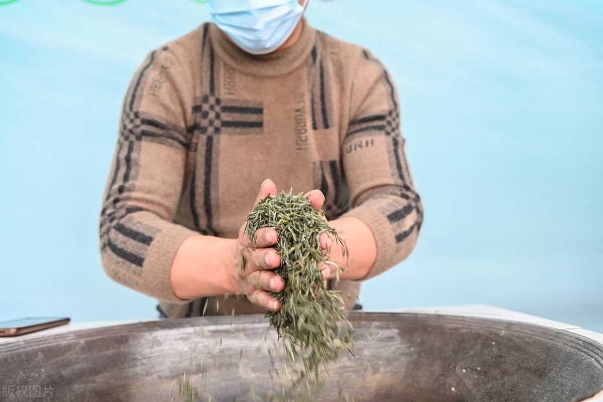 独家:重庆酉阳茶旅融合助力乡村振兴