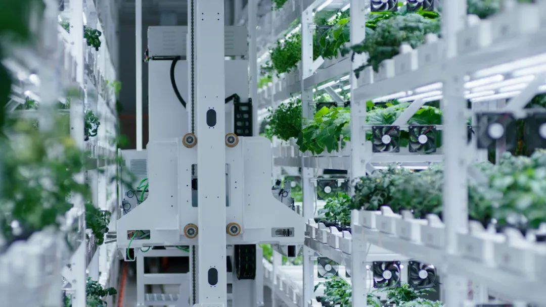 普旷农业数智植物工厂